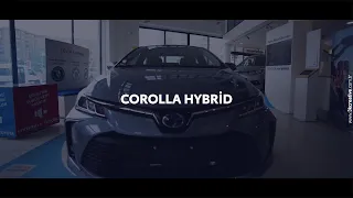 Toyota Corolla Hybrid!