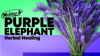 Making It: Holistic Healing with Lavender at Purple Elephant