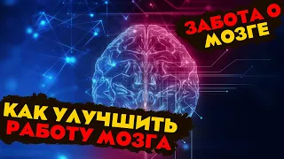 Как сохранить ясность ума до глубокой старости |  мозг человека