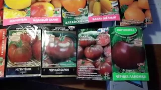 Обзор новых сортов томатов для теплицы сезона 2019г