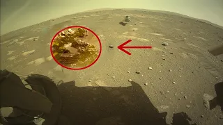 Снимок с Марса потряс ученых - объект похожий на существо. Марсоход Curiosity и Шампо