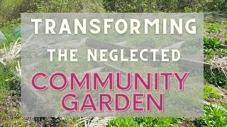 Transforming a Weed Filled Garden in Just 3 Days