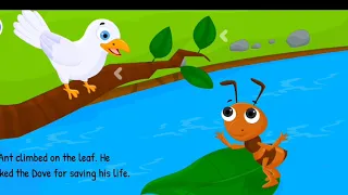 Hindi stories the ant and dove kids hindi story cartoon