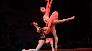 St Petersburg Ballet Theatre’s Swan Lake and The Nutcracker