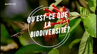 Qu'est-ce que la biodiversité ?