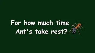 For how much time  Ant's take rest? | Most Amazing Unknown Facts | General Knowledge Question Answer