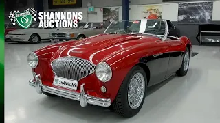 1954 Austin-Healey 100/4 BN1 Roadster - 2021 Shannons Autumn Timed Online Auction