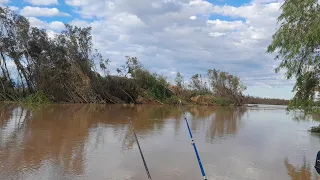 ACA SIEMPRE SALEN PESCADOS, " SURUBÍ, MANDUBÍ, MONCHOLO, RAYA " MUCHOS PESCADOS