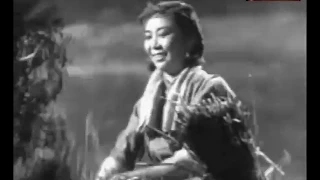 中华老电影 系列 81 II 六十年代电影 1961 枯木逢春  HD