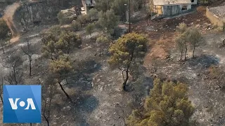 Drone Aerials of Fire-Damaged Forest in Greece Near Athens | VOA News