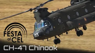 Festa al Cel 2019 ✈️ CH-47 Chinook, Close Up and Personal!