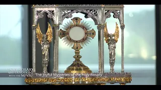 Catholic Daily Mass - Daily TV Mass - May 22, 2023