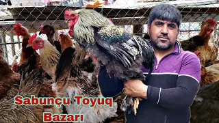 Sabunçu Toyuq Bazarı 5 may 2024 055 893 42 44 050 798 1133 0557848534