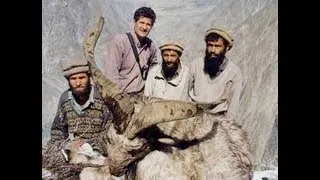 MARKHOR HUNTING (Chasse) AND MANAGEMENT by Seladang
