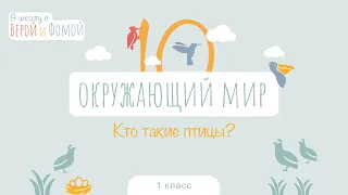 Кто такие птицы? Окружающий мир, урок 10. 1 класс (аудио). В школу с Верой и Фомой (6+)