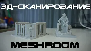 3д-сканирование: Фотограмметрия 2 - MESHROOM