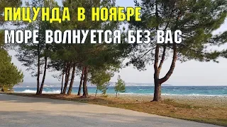 ПИЦУНДА В НОЯБРЕ | Море волнуется без вас | Субтропическое побережье Черного моря