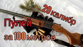 пулей на 100 метров с 20 калибра