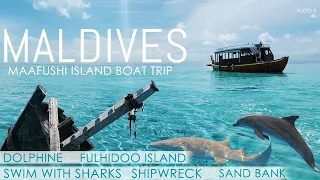 [4k]Maldives Maafushi excursion|Dolphine Fulhidoo island| snorkeling with sharks|shipwreck& sandbank