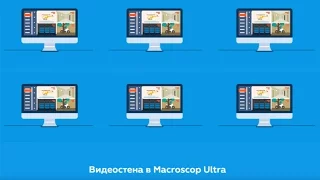 Видеостена в Macroscop Ultra.