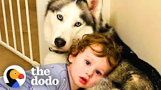 This Husky Sits By Her Baby Brothers Crib Every Day | The Dodo