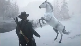 Red Dead Redemption 2 කැලෑවේ සුදු අශ්වයා 🌲🐴