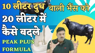 10Lit को 20Lit में बदलें / भैंस का दूध बढ़ाने के लिए क्या खिलाना चाहिए Buffalo Milk Increase Tips