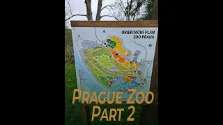 Prague Zoo tour in under 2 minutes.