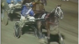 Harness Racing,Addington Raceway NZ-10/03/1995 Trotters Inter Dominion (Call Me Now-David Butcher)
