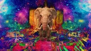 Psychedelic Safari - Summer Chill Out MIND CHILL Music & Art
