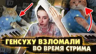 ГЕНСУХУ ВЗЛОМАЛИ НА ТВИЧЕ / ГЕНСУХА ТВИЧ / ГЕНСУХУ ВЗЛОМАЛИ НА СТРИМЕ / генсуха коты / BUSTER REWIND