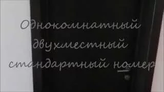 Стандартный двухместный однокомнатный номер, отель "Апсара", Пицунда посёлок Лидзава (Лдзаа).