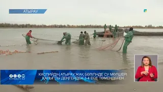 Каспийдің Атырау жақ бөлігінде су мөлшері қалыпты деңгейден 3-4 есе төмендеген