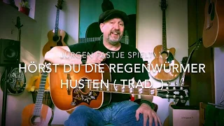 Hörst du die Regenwürmer husten ( Trad. ), hier gespielt von Jürgen Fastje