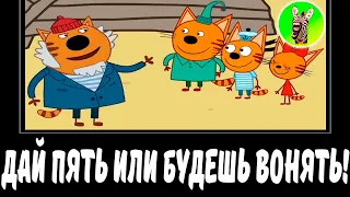 ДАЙ ПЯТЬ ИЛИ БУДЕШЬ ВОНЯТЬ! 😻 | МУД ТРИ КОТА ДЕМОТИВАТОР RYTP 174 БЕЗ МАТА