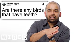 Bird Expert Answers Bird Tweets From Twitter 🐦  | Tech Support | WIRED