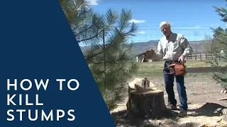 How to Kill Stumps