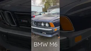 BMW M6 E24