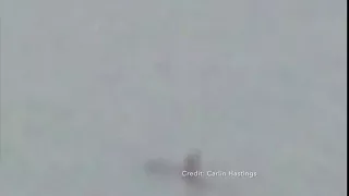 Strange creature caught on camera on Lake Michigan