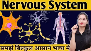 Nervous system in hindi | Neuron Types  | Sensory & motor neuron | Structure and function