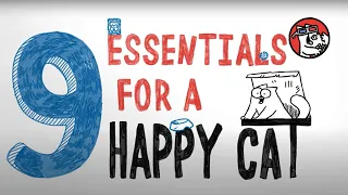 9 Essentials for a Happy Cat | Collection | Simon's Cat Extra