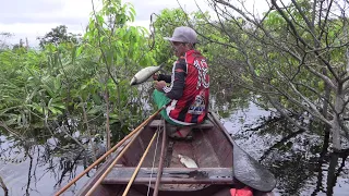 VEJA O QUE A “FRIAGEM” FAZ COM OS PEIXES, PESCA RIBEIRINHA NO AMAZONAS...