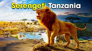 The Real Story Behind Serengeti - Great Migration | Nature Documentary