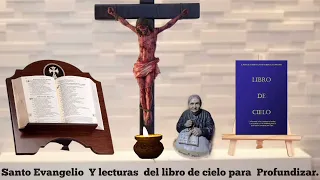 Evangelio segun San Juan15, 9-17. Lecturas de libro de cielo. Regina Caeli Benedito XVI.5-5-24.