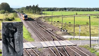 Stadler passenger train at Vaivara station/ Пассажирский штадлер на станций Вайвара