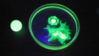 Uranium glass, uranyl nitrate, fluorescein and black light lamp (ultraviolet light)