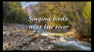 Putnu dziedāšana pie upes - Relaksējošā daba Putnu un upju skaņu skaņas