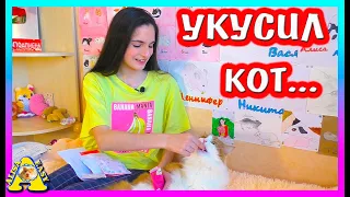 Вася укусил Алису во время распаковки / Alisa Easy Pets