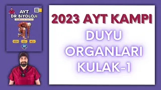 Duyu organları - Kulak 1 AYT Biyoloji Kampı Konu Anlatımı/ 11.Sınıf 2024 Tayfa