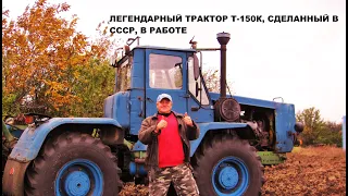 Легендарный трактор Т - 150 К, сделанный в СССР, в работе!